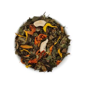 Słoneczny Poranek Zimy